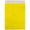 JAM Paper 10" x 13" Tyvek Tear-Proof Open End Catalog Envelopes, 25ct.